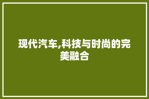 现代汽车,科技与时尚的完美融合