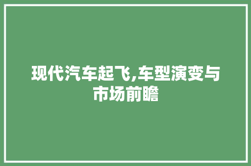 现代汽车起飞,车型演变与市场前瞻