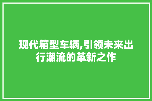 现代箱型车辆,引领未来出行潮流的革新之作 新能源汽车