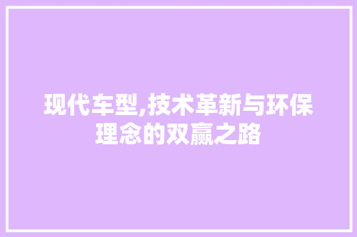 现代车型,技术革新与环保理念的双赢之路