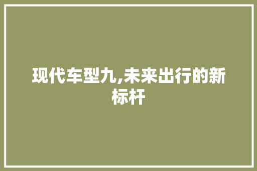 现代车型九,未来出行的新标杆 蓄电池配件
