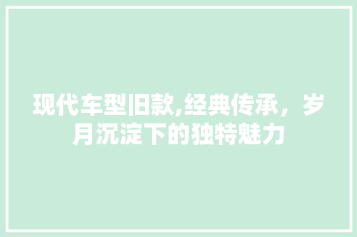 现代车型旧款,经典传承，岁月沉淀下的独特魅力