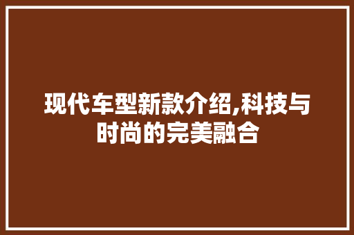 现代车型新款介绍,科技与时尚的完美融合 车灯配件