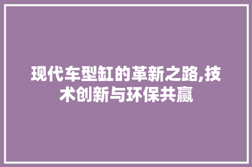 现代车型缸的革新之路,技术创新与环保共赢