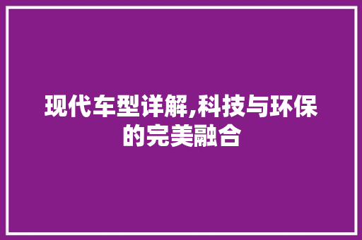 现代车型详解,科技与环保的完美融合