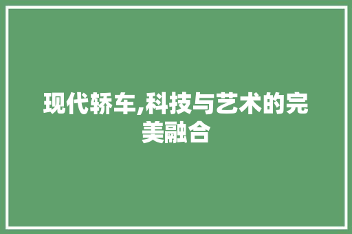 现代轿车,科技与艺术的完美融合