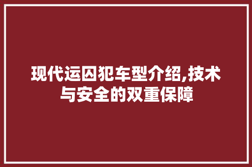 现代运囚犯车型介绍,技术与安全的双重保障