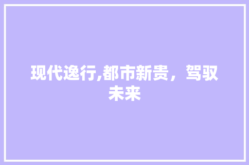 现代逸行,都市新贵，驾驭未来