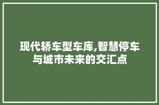 现代轿车型车库,智慧停车与城市未来的交汇点
