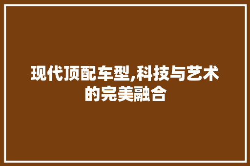 现代顶配车型,科技与艺术的完美融合
