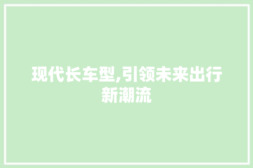 现代长车型,引领未来出行新潮流