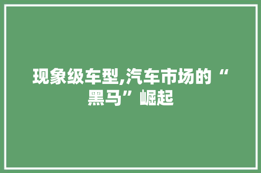 现象级车型,汽车市场的“黑马”崛起