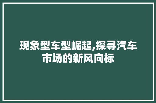 现象型车型崛起,探寻汽车市场的新风向标