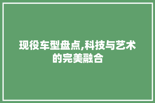 现役车型盘点,科技与艺术的完美融合