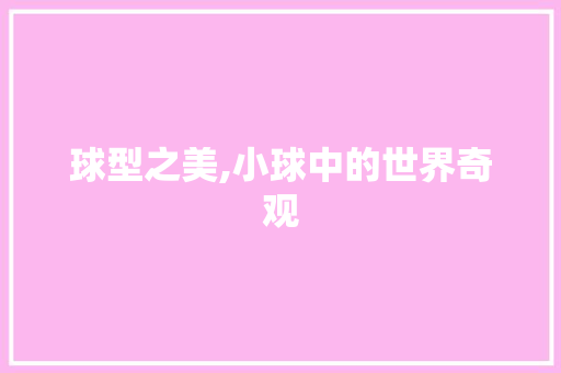 球型之美,小球中的世界奇观