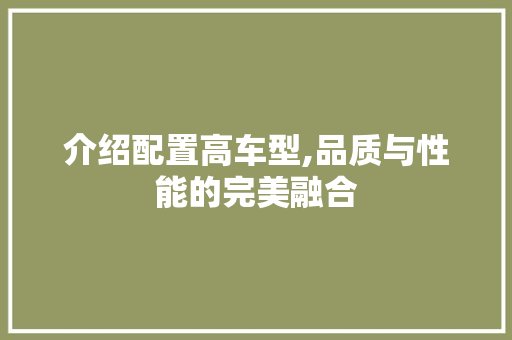 介绍配置高车型,品质与性能的完美融合