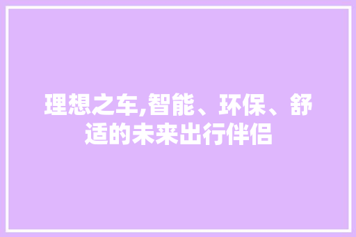 理想之车,智能、环保、舒适的未来出行伴侣