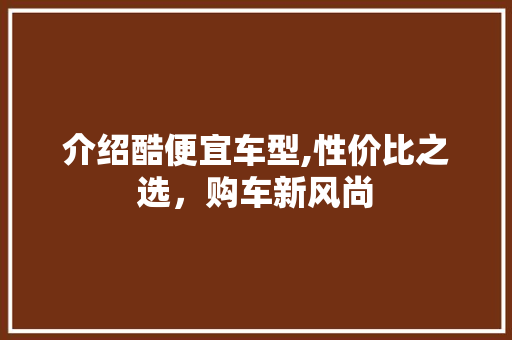 介绍酷便宜车型,性价比之选，购车新风尚
