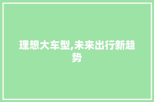 理想大车型,未来出行新趋势