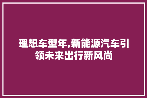 理想车型年,新能源汽车引领未来出行新风尚