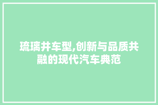 琉璃井车型,创新与品质共融的现代汽车典范
