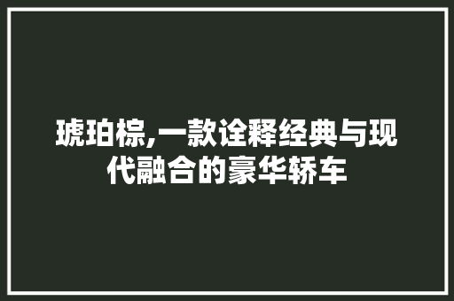 琥珀棕,一款诠释经典与现代融合的豪华轿车 汽车配件