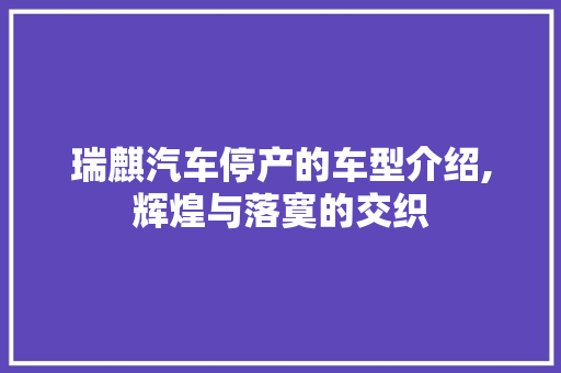 瑞麒汽车停产的车型介绍,辉煌与落寞的交织
