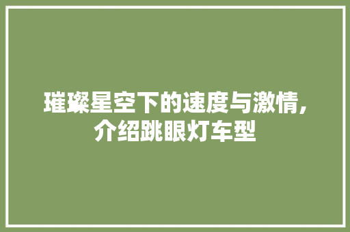 璀璨星空下的速度与激情,介绍跳眼灯车型