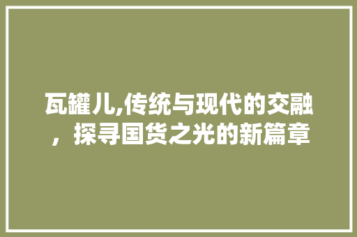 瓦罐儿,传统与现代的交融，探寻国货之光的新篇章
