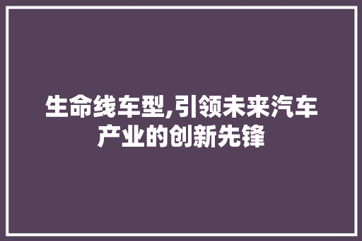 生命线车型,引领未来汽车产业的创新先锋 蓄电池配件