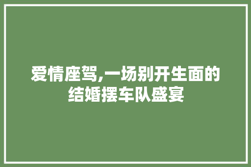 爱情座驾,一场别开生面的结婚摆车队盛宴