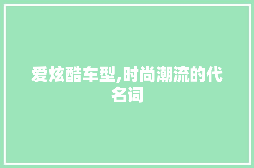 爱炫酷车型,时尚潮流的代名词