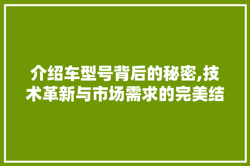 介绍车型号背后的秘密,技术革新与市场需求的完美结合