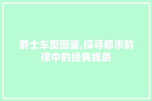 爵士车型图鉴,探寻都市韵律中的经典线条