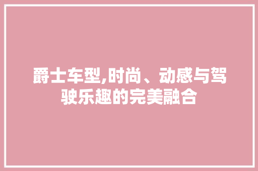 爵士车型,时尚、动感与驾驶乐趣的完美融合