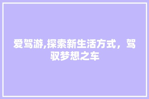爱驾游,探索新生活方式，驾驭梦想之车