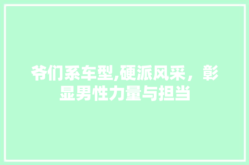 爷们系车型,硬派风采，彰显男性力量与担当
