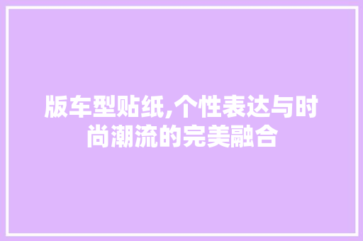 版车型贴纸,个性表达与时尚潮流的完美融合