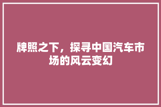 牌照之下，探寻中国汽车市场的风云变幻