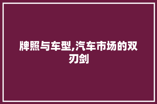 牌照与车型,汽车市场的双刃剑