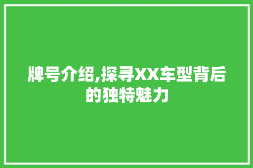牌号介绍,探寻XX车型背后的独特魅力
