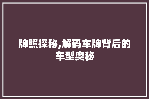牌照探秘,解码车牌背后的车型奥秘