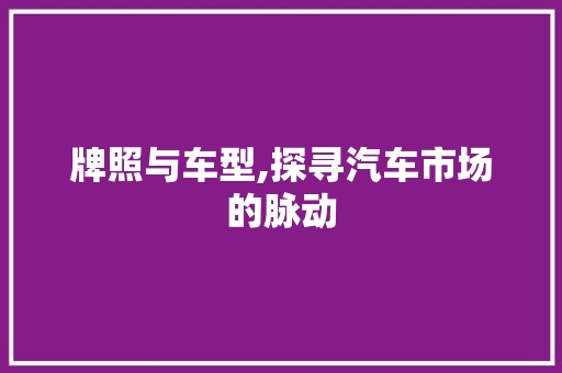 牌照与车型,探寻汽车市场的脉动