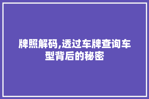 牌照解码,透过车牌查询车型背后的秘密