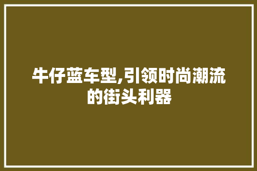 牛仔蓝车型,引领时尚潮流的街头利器
