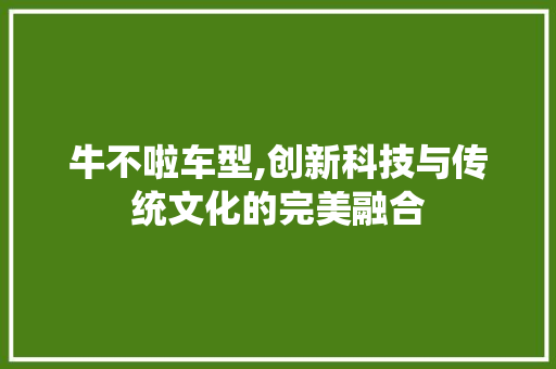 牛不啦车型,创新科技与传统文化的完美融合