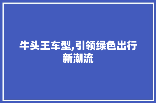 牛头王车型,引领绿色出行新潮流