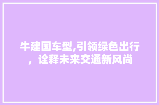 牛建国车型,引领绿色出行，诠释未来交通新风尚