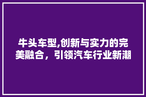牛头车型,创新与实力的完美融合，引领汽车行业新潮流