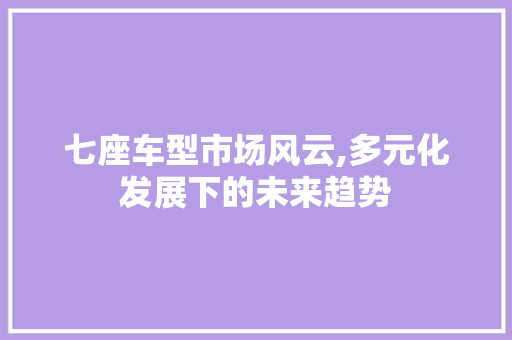 七座车型市场风云,多元化发展下的未来趋势